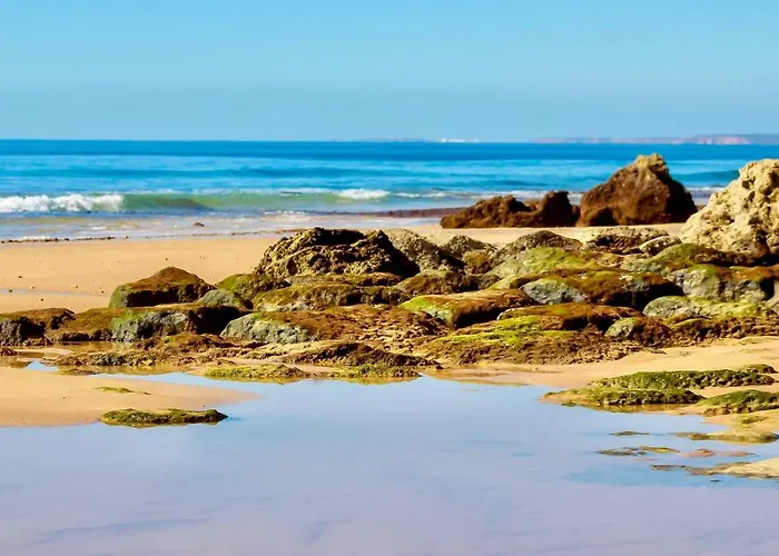 ヴィラ Acacias 13 Luz